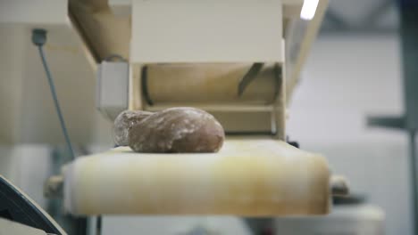 bread production line in a bakery