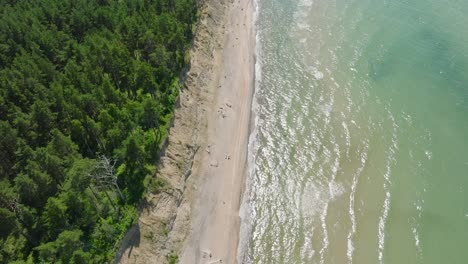 Aerial-birdseye-view-of-Baltic-sea-beach-at-Jurkalne-on-a-sunny-summer-day,-white-sand-cliff-damaged-by-waves,-coastal-erosion,-climate-changes,-wide-drone-shot-moving-forward