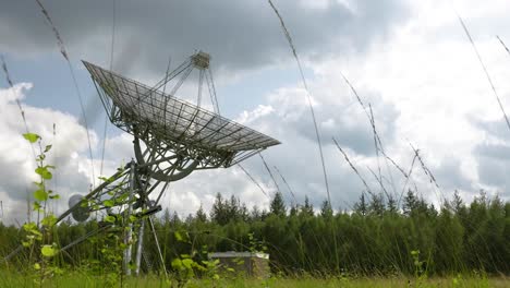 radio telescope in a forest