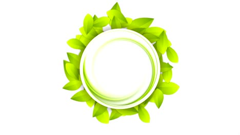 green summer leaves abstract video animation