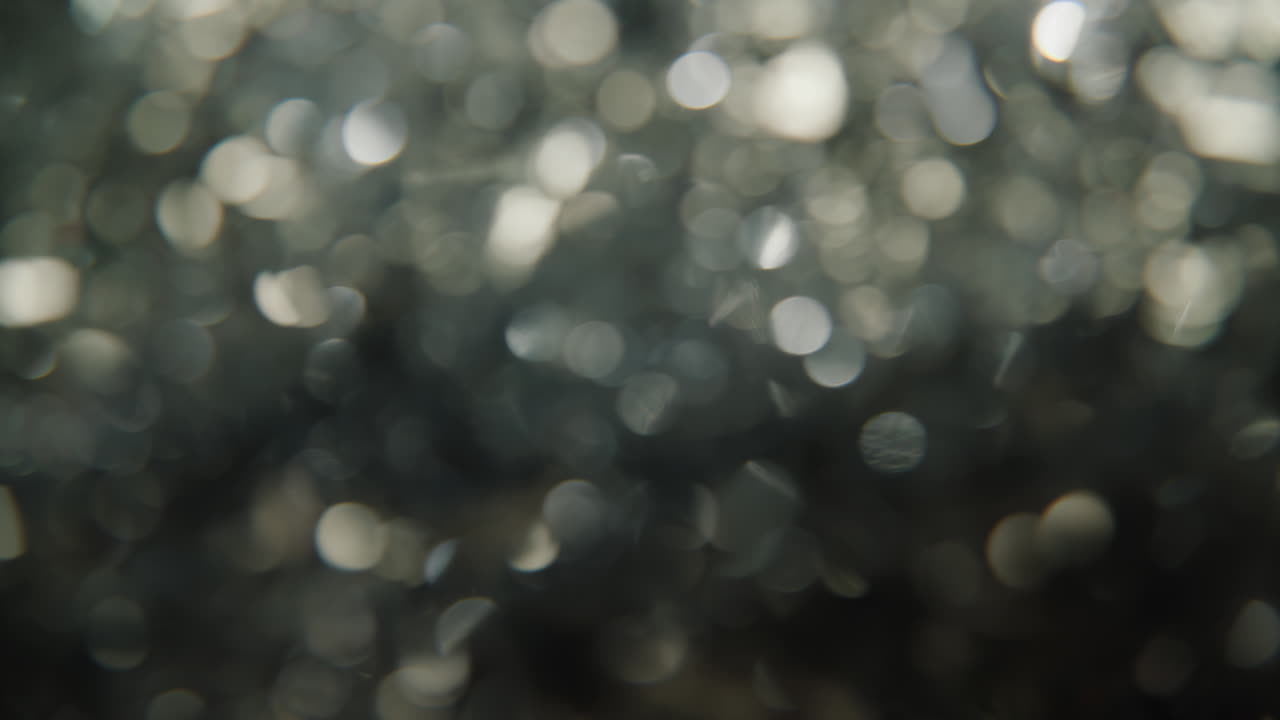 la magia de las vacaciones