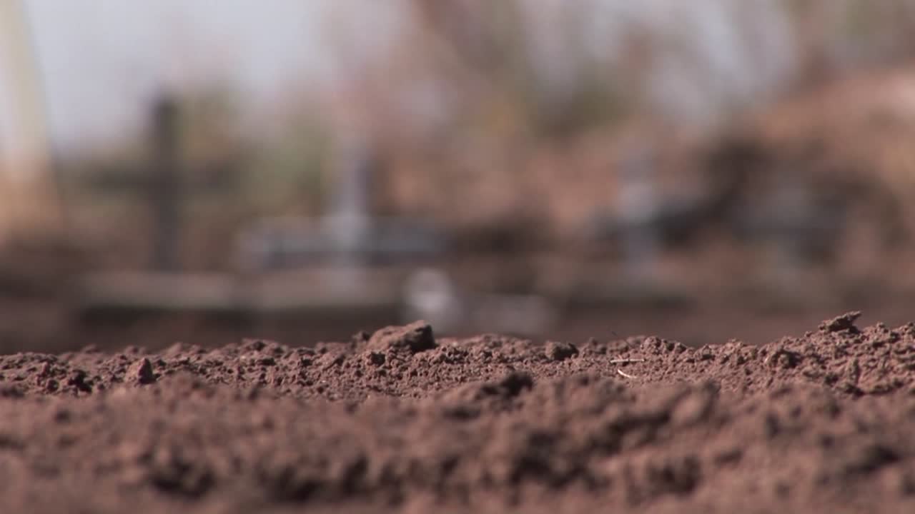 무덤은 십자가로 표시