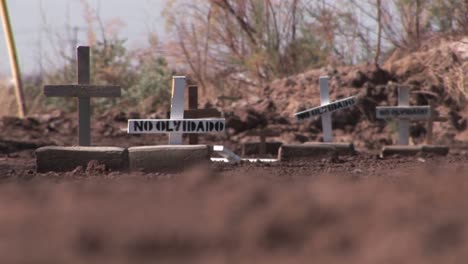 graves are marked by crosses