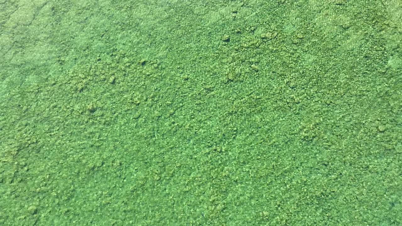 Direct aerial of the greenish waters of Lake Michigan in a shallow and stony bay