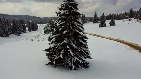 Experimente-La-Belleza-De-Poiana-Brasov,-Rumania,-Con-Una-Lenta-Revelación-De-Un-Paisaje-Invernal-Rodeado-De-Colinas-Y-Montañas