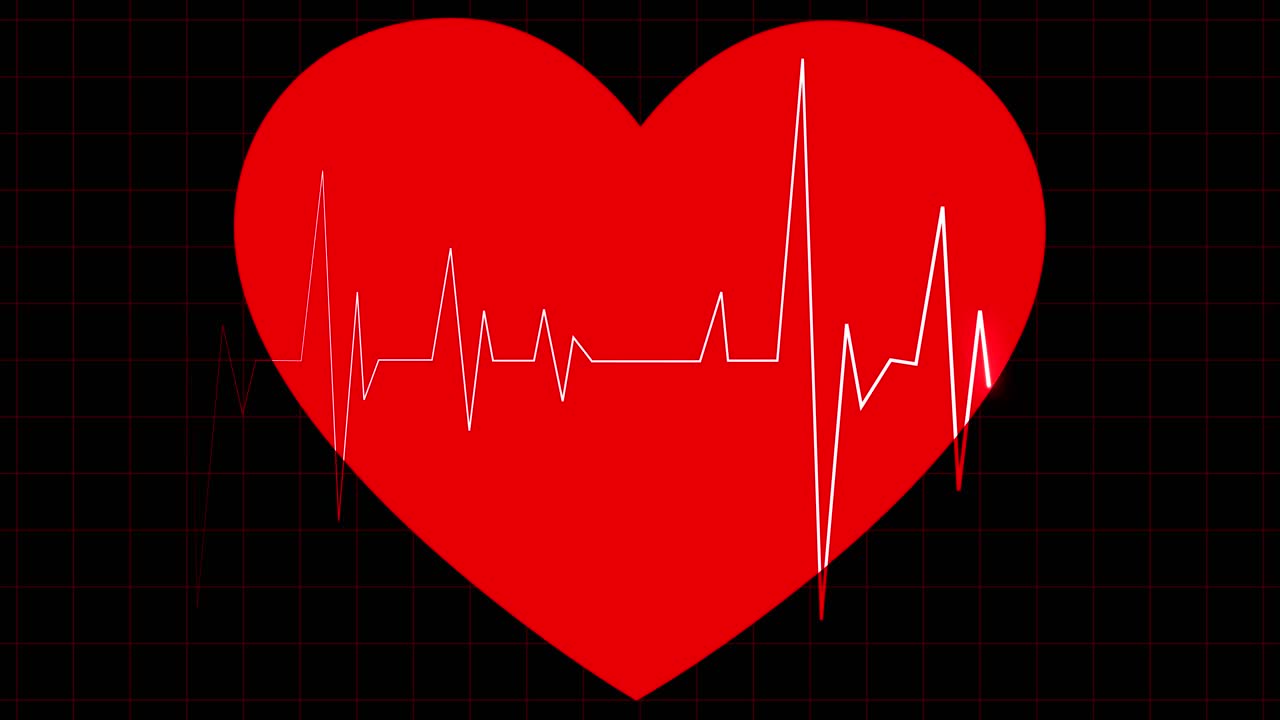 디지털 ekg 펄스, 심장 박동 모니터 - 심전도