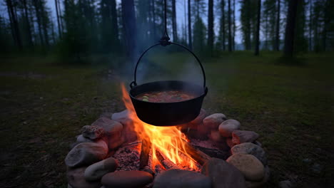campfire cooking pot in the forest at night