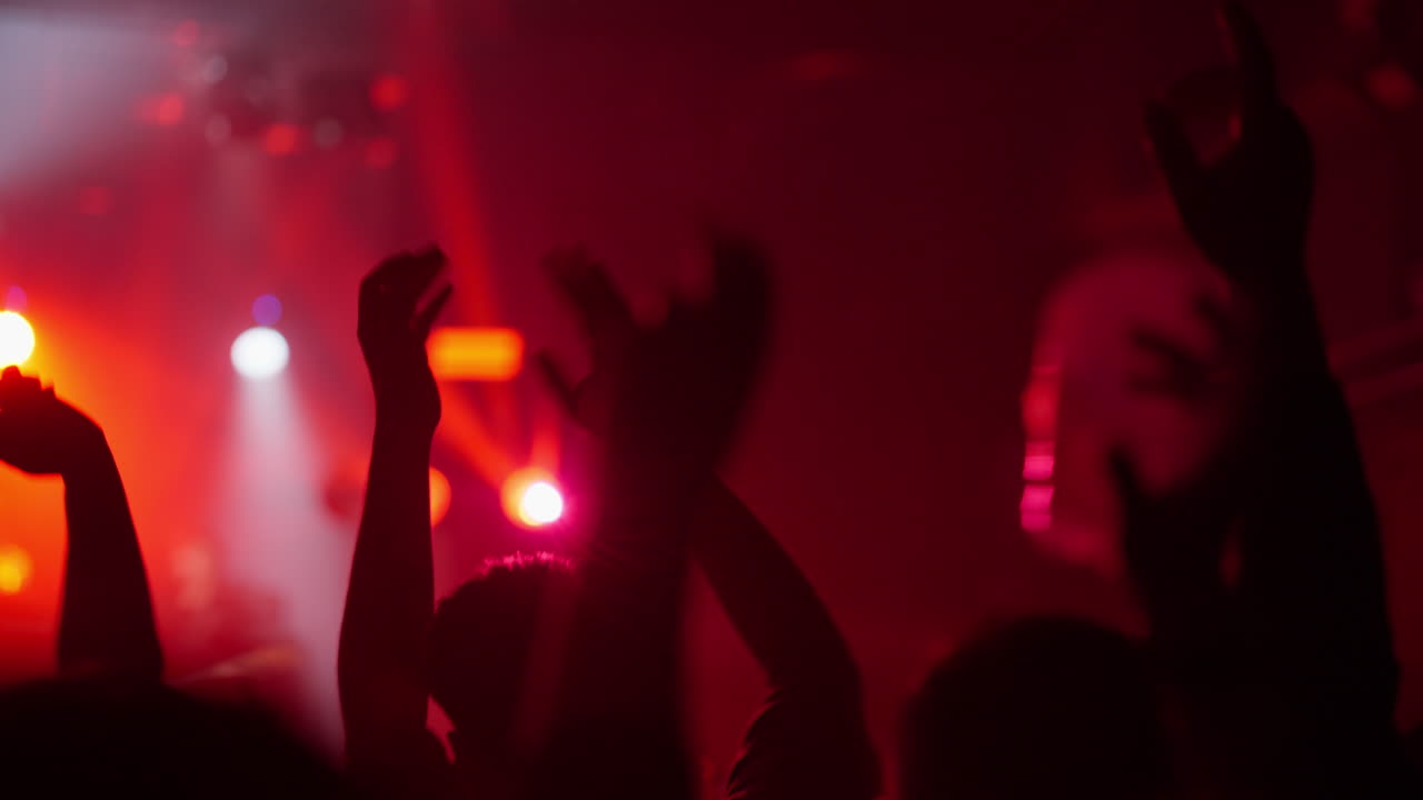 Sagome di persone che ballano ed esultano a un concerto dal vivo