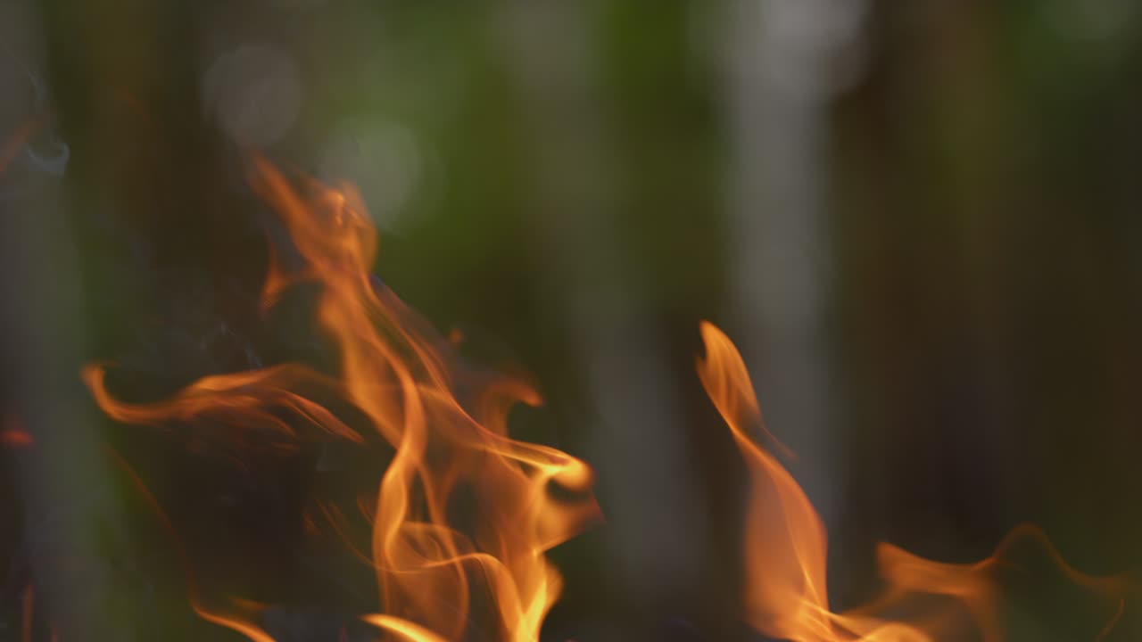 공격적인 화재가 숲에서 선을 가로질러 소용돌이를 일으킨다. 불꽃이 포인트를 넘어섰다.