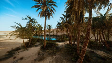 un oasis con palmeras en el desierto