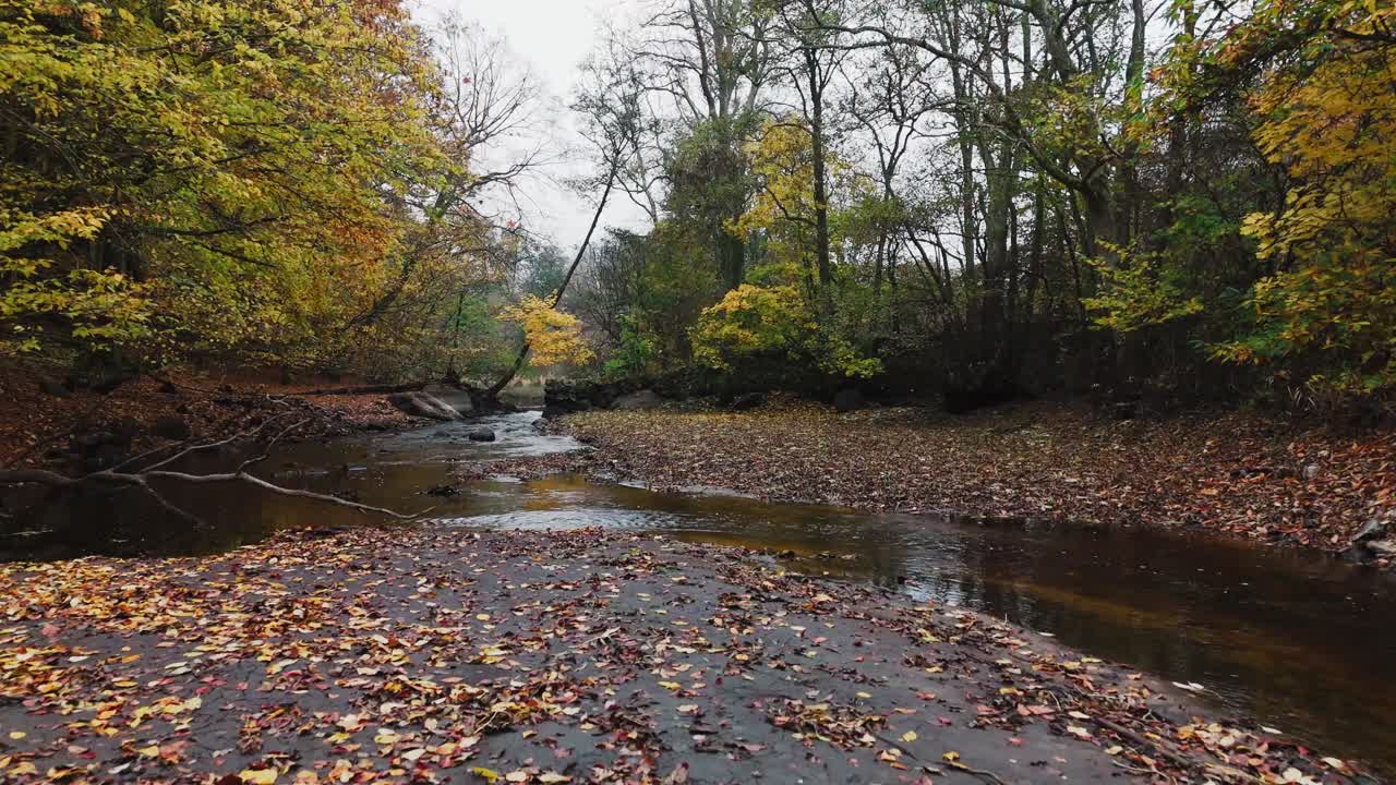 Drone footage of a small pond in Forsemölla Sweden, autumn
