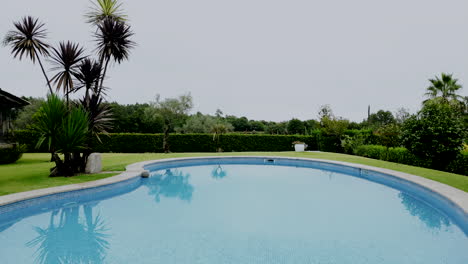 tranquil poolside with tropical foliage. aerial