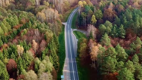 Toma-Aérea-De-Una-Carretera-Vacía-En-Un-Colorido-Bosque-Otoñal