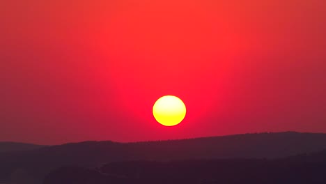 birds fly in front of a big orange disc of the setting sun