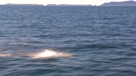 Channel-Island-National-Park-as-seen-from-a-passing-boat