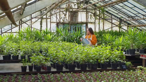 woman watering plants in a greenhouse