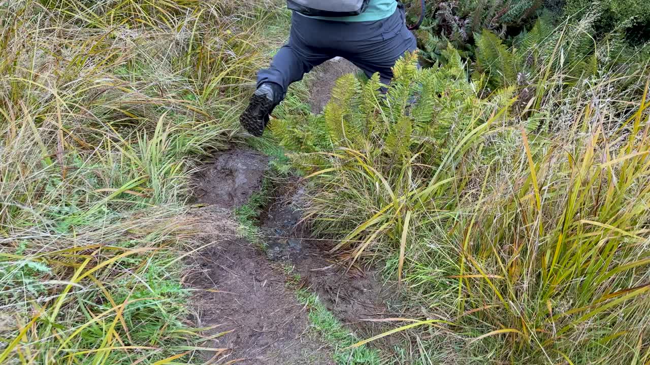 A hiker navigates a narrow, grassy trail in Queenstown, New Zealand. Overcast lighting enhances the lush greenery and serene atmosphere