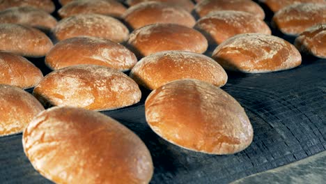 round bread loaves leave the oven on a conveyor.