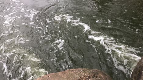 streams of water flow through concrete sewers. polluted body of water in the park. close-up shot.