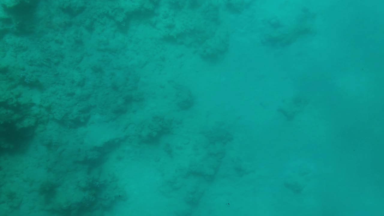 Exploración del fondo marino a través de cristal (8).
