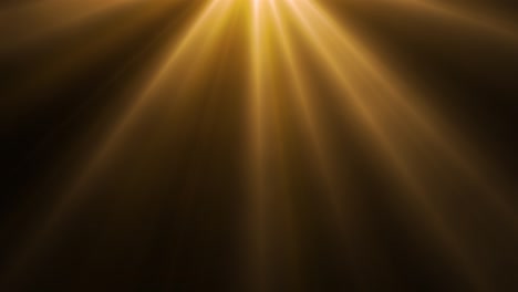 golden lights on dark background