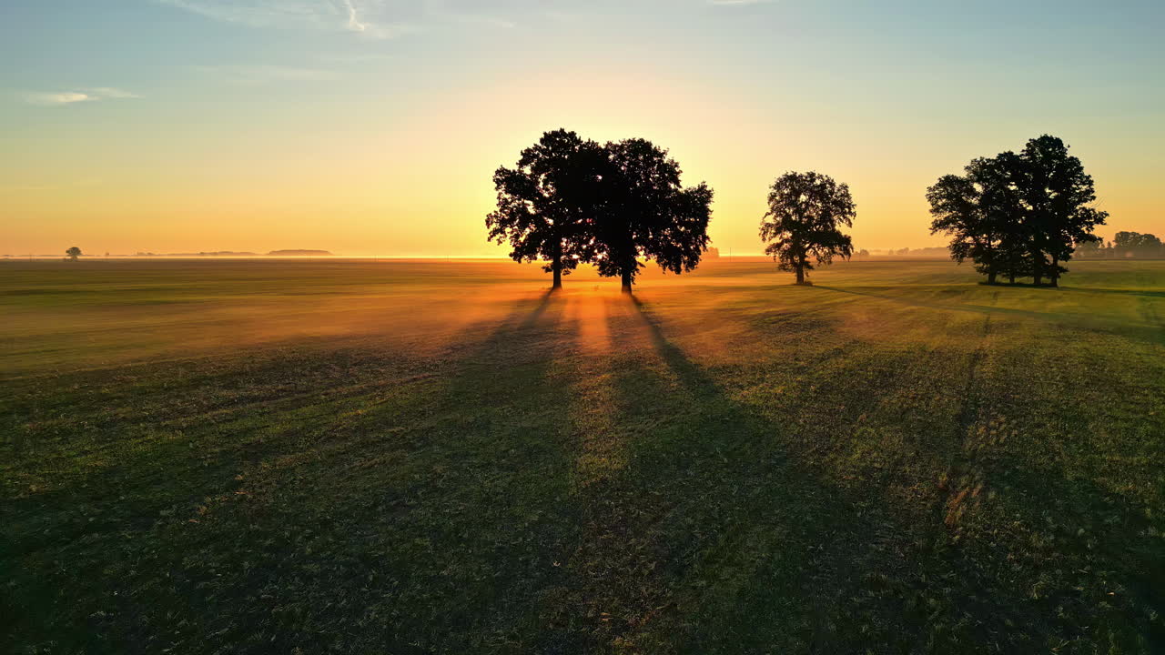 Veduta aerea su campi agricoli al tramonto con il sole dorato dietro la silhouette degli alberi
