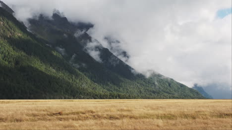 a golden grass prairie stretches towards a grand and misty mountain range