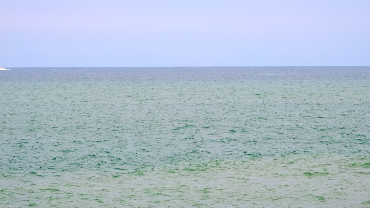 Southern Right whale breaches twice in Atlantic waters of Hermanus, telephoto