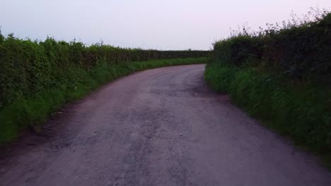 Punto-De-Vista-Ralentizar-El-Camino-Rural-Polvoriento-Entre-Hileras-De-Setos