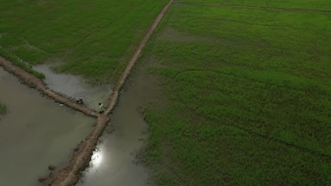 orbit-drone-shot-of-rice-fields-with-farmers-and-development-on-the-outskirts-of-Ho-Chi-Minh-City,-Vietnam