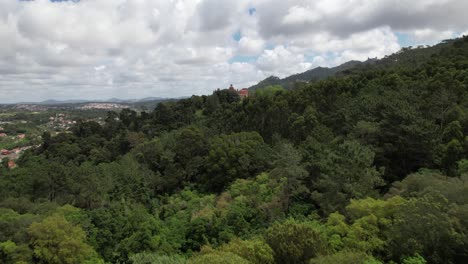 Fly-Above-Green-Park-with-Forest-Trees-01