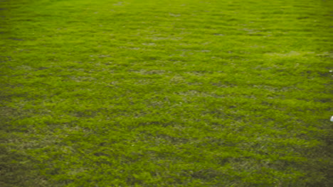 nahaufnahme von mutter und tochter, die im park mit dem ball spielen