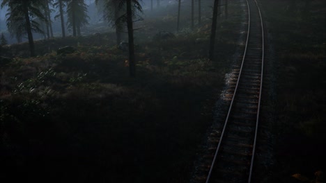 área-De-Recreación-Del-Bosque-Nacional-Y-La-Niebla-Con-Ferrocarril