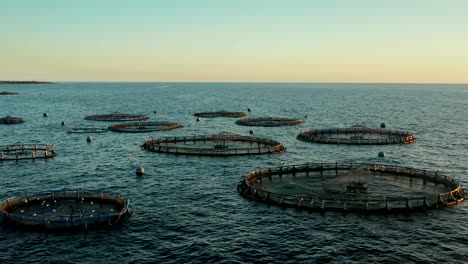 fish farm in the atlantic ocean in the rays of sunset