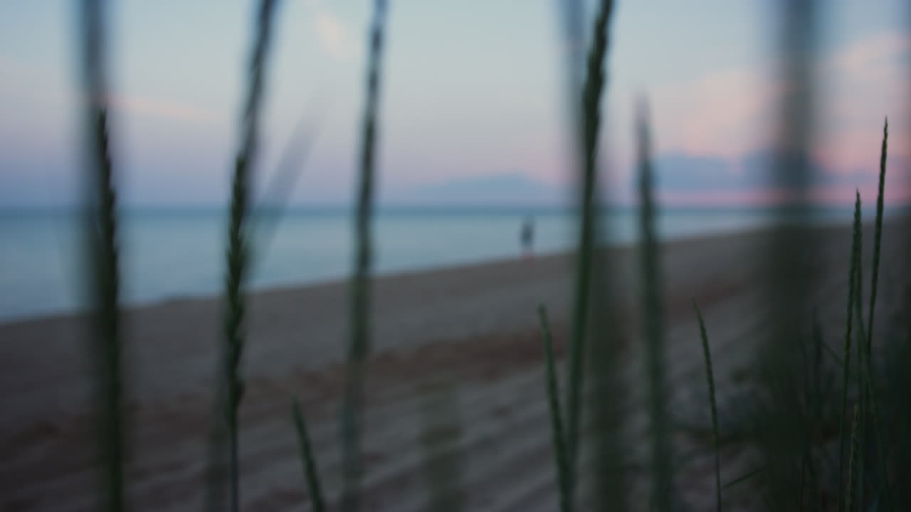 어두운 저녁 해가 지는 동안 바다 모래 해변 해안선을  ⁇ 는 여자 실루 ⁇