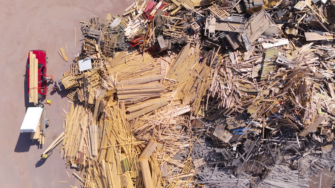 아이 들 과 함께 가족 은 거대 한 나무 어리 에서 나무 를 구해 낸다.