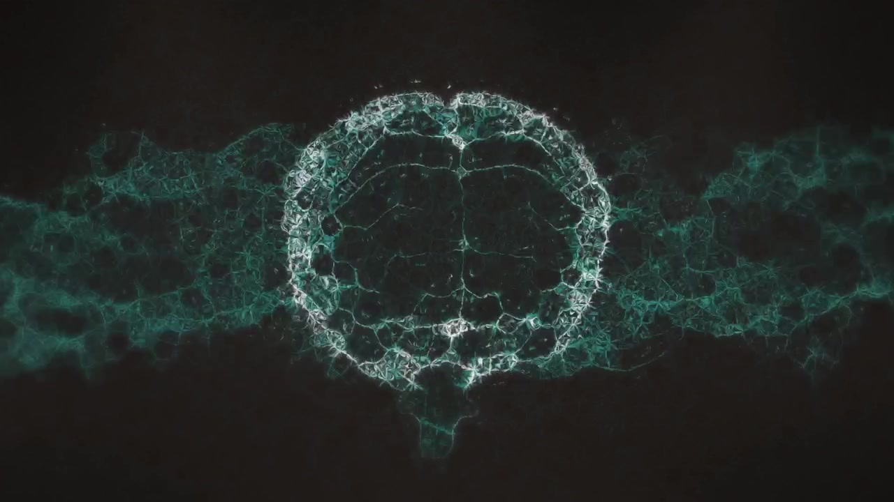 Digital Human Brain Network Animation on Dark Background