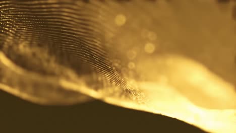 golden waves gracefully undulate, creating a captivating visual experience. the tranquil atmosphere and soft movements invite viewers to relax and enjoy the soothing rhythm of nature.