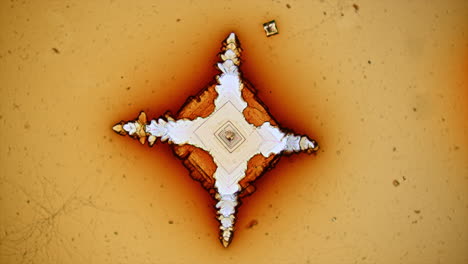 microscopic time-lapse of crystal growth and formation