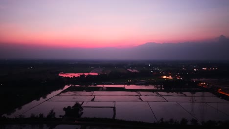 sunset over rice paddies
