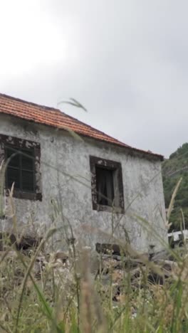 old abandoned stone house in rural setting