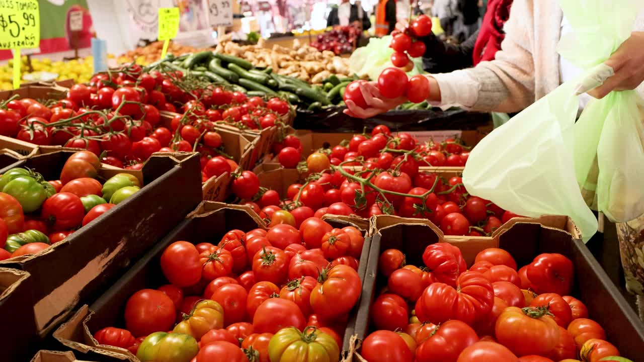 빅토리아 시장 에서 토마토 를 선택 하는 사람
