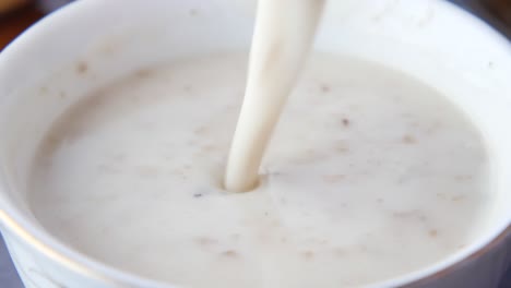 creamy soup in a bowl