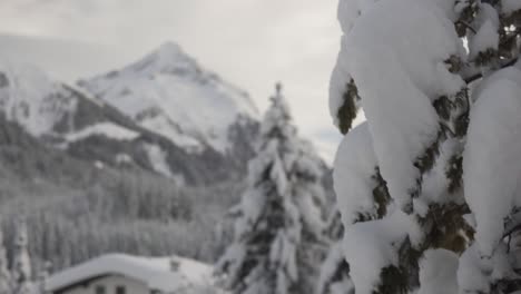 Zeitlupe-Mit-120-Bildern-Pro-Sekunde-–-Jede-Menge-Schnee-Auf-Ästen,-Die-Seitwärts-Schwenken-Und-Den-Blick-Auf-Einen-Großen-Berg-Freigeben