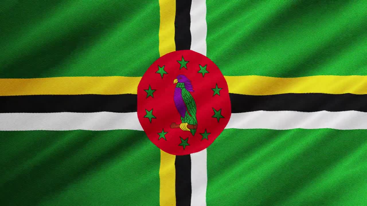 도미니카 흔들며 배경의 국기