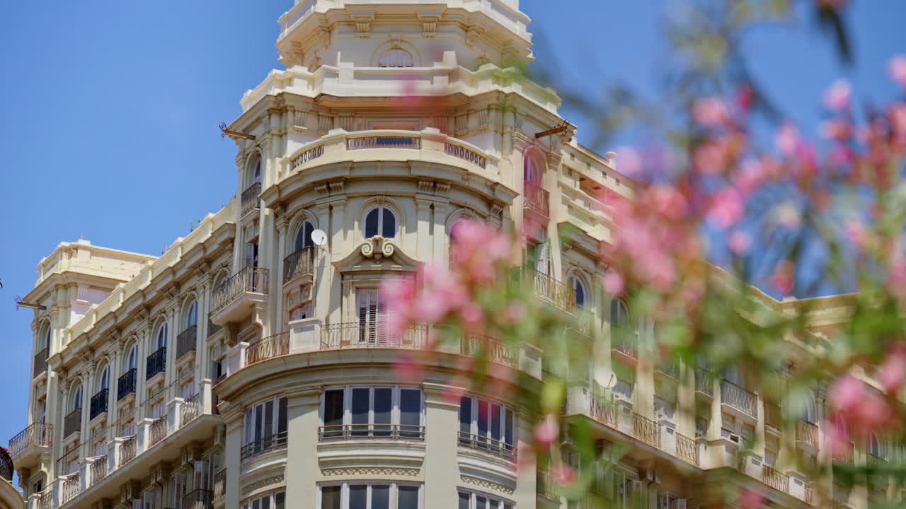 Oleander blossoms swaying with cream coloured, richly decorated apartment blocks on the background in Valencia, Spain