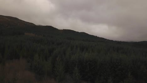Ein-Flug-über-Einen-Wald-In-Den-Nordschottischen-Highlands