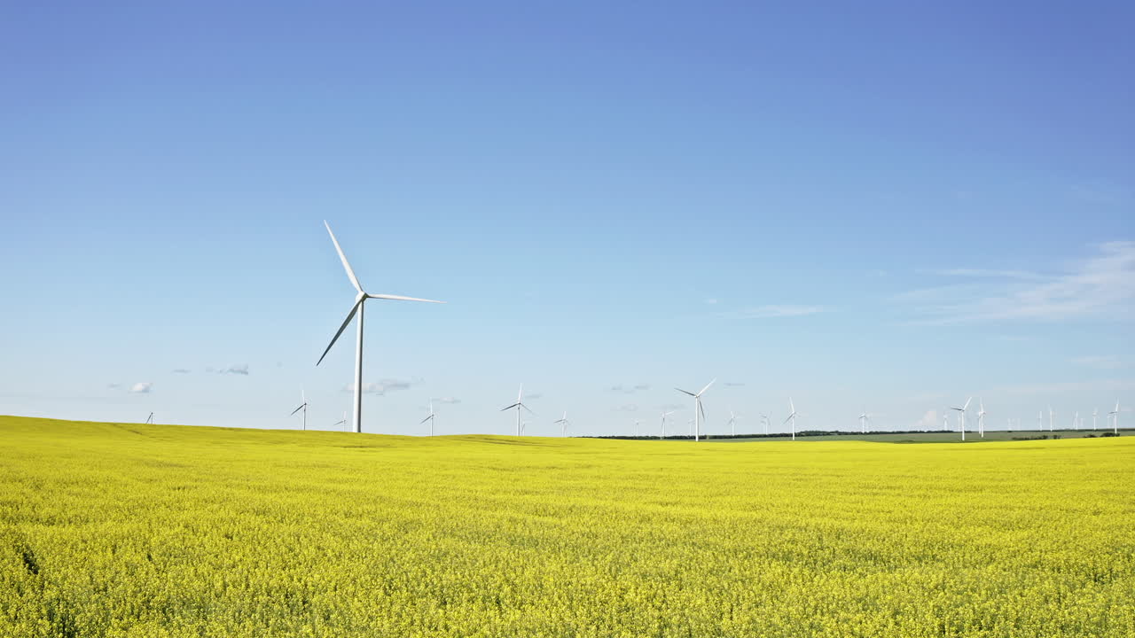 캐나다 서스캐처원의 카놀라 밭에 있는 풍력 타워 위의 여름 푸른 하늘 - 틸트 업 샷
