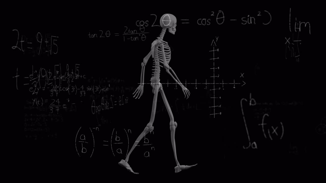 animación de ecuaciones matemáticas sobre el esqueleto