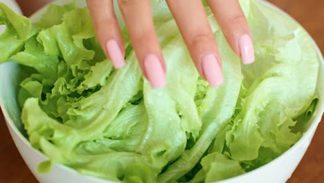 fresh lettuce in a bowl